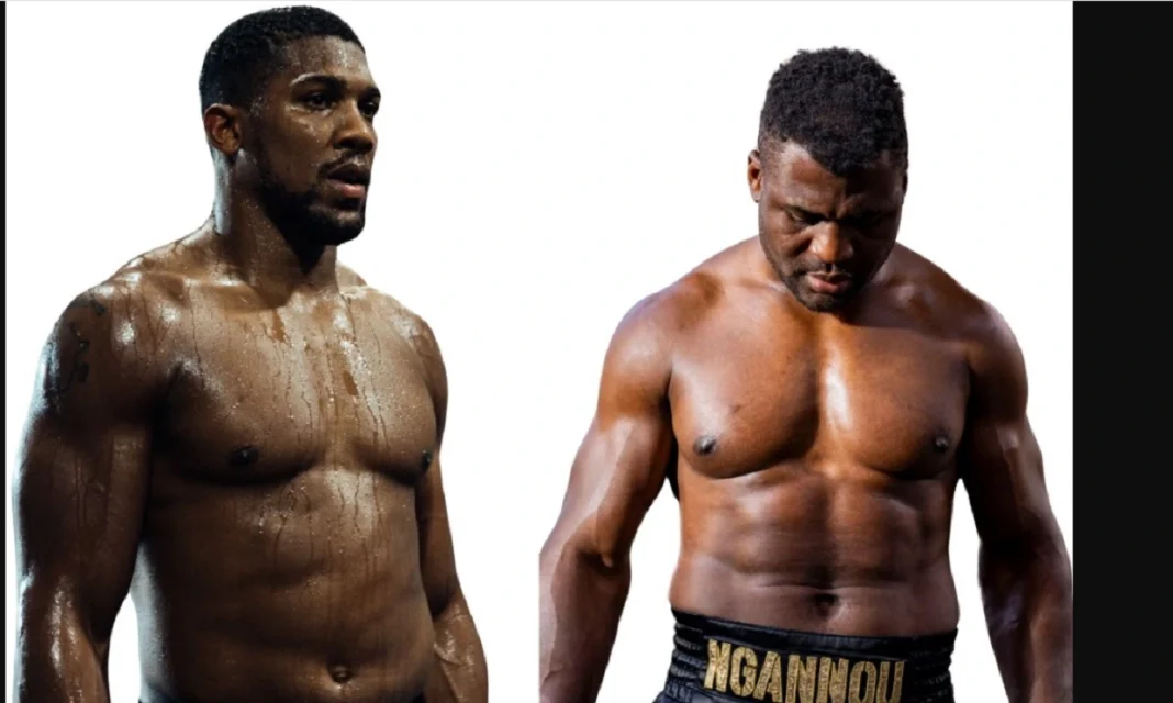 Anthony Joshua et Francis Ngannou