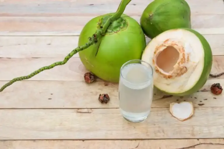 Bon à  savoir: 03 raisons de réintégrer l’eau de coco dans votre routine quotidienne