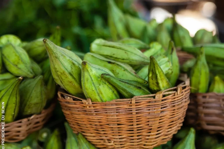 AgricultureÂ : la production de légumes au Bénin prend de l’ampleur